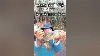 Pemancing Bertopeng 2022 Full